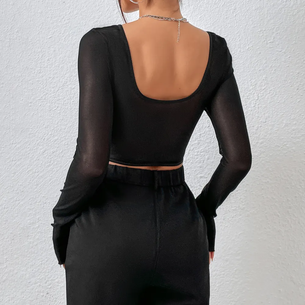 Lace Mesh Long Sleeve Top