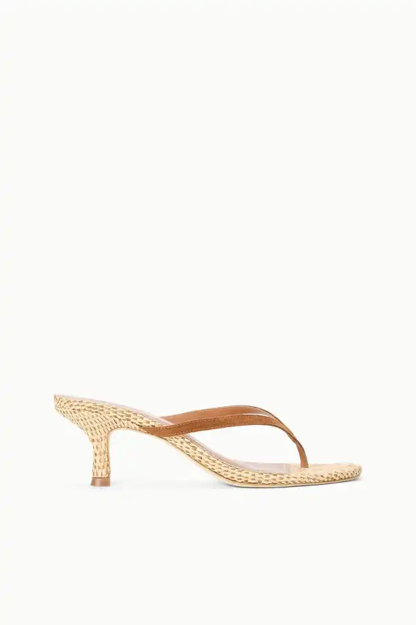 Pointed Toe Strappy Heels