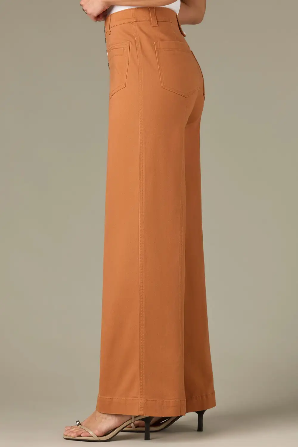 Petite Button Fly Wide Leg Pants