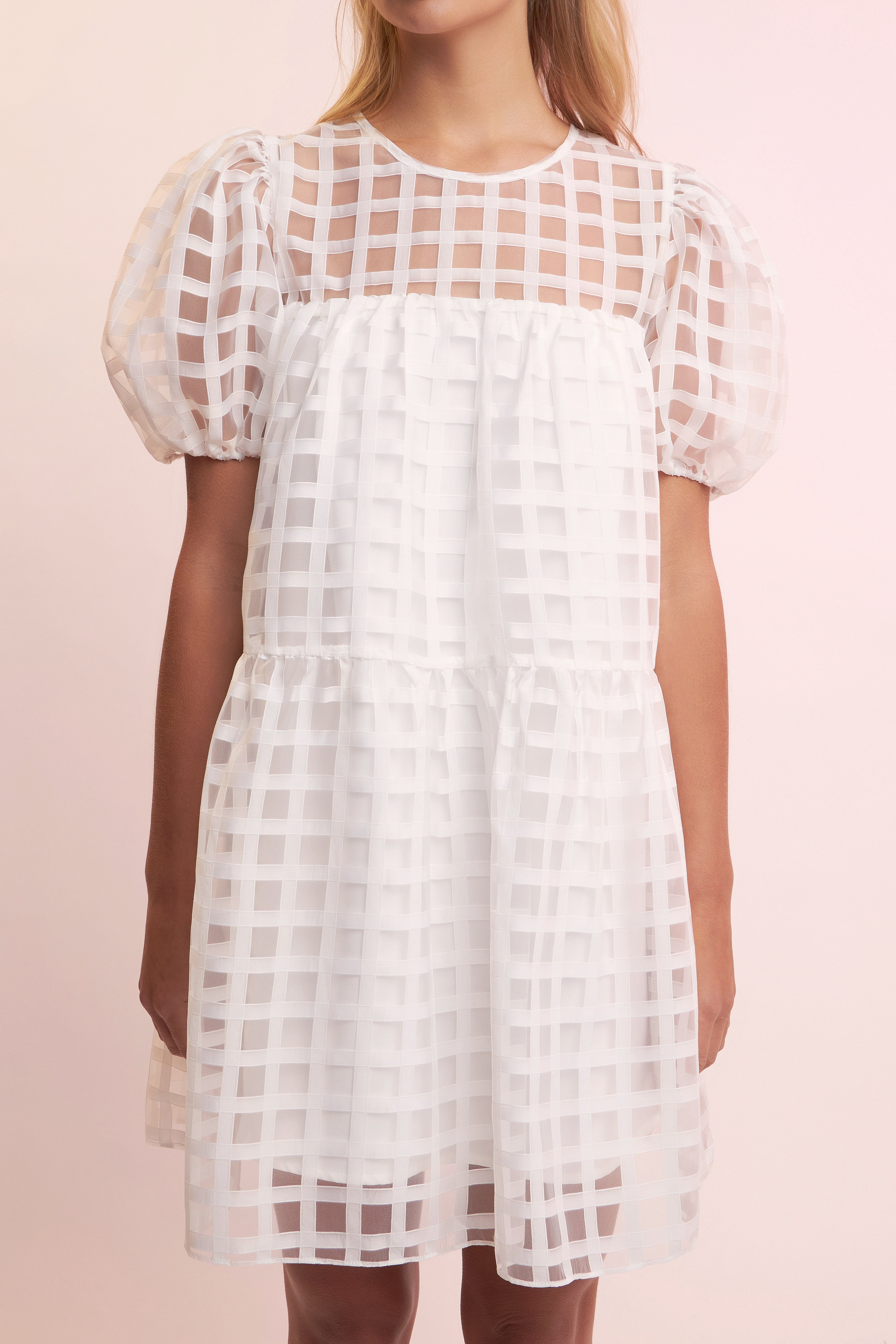 Gridded Organza Mini Dress