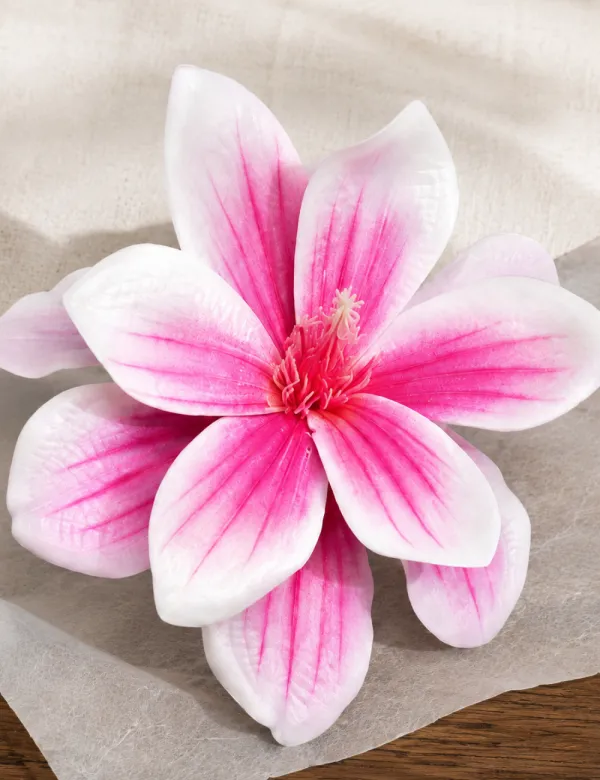 Classic Plumeria Flower Hair Clip