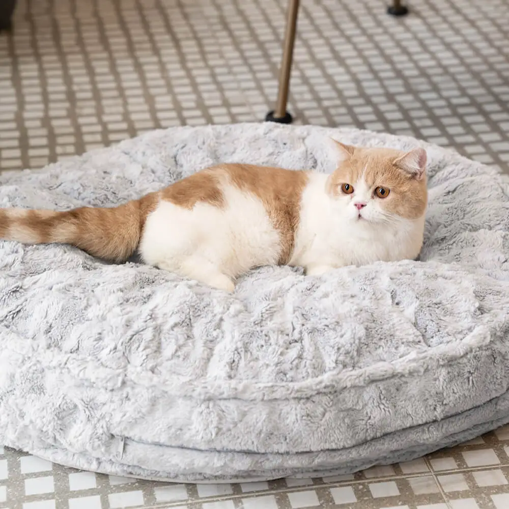 Warming Fluffy Round Cloud Shape Claiming Dog Bed