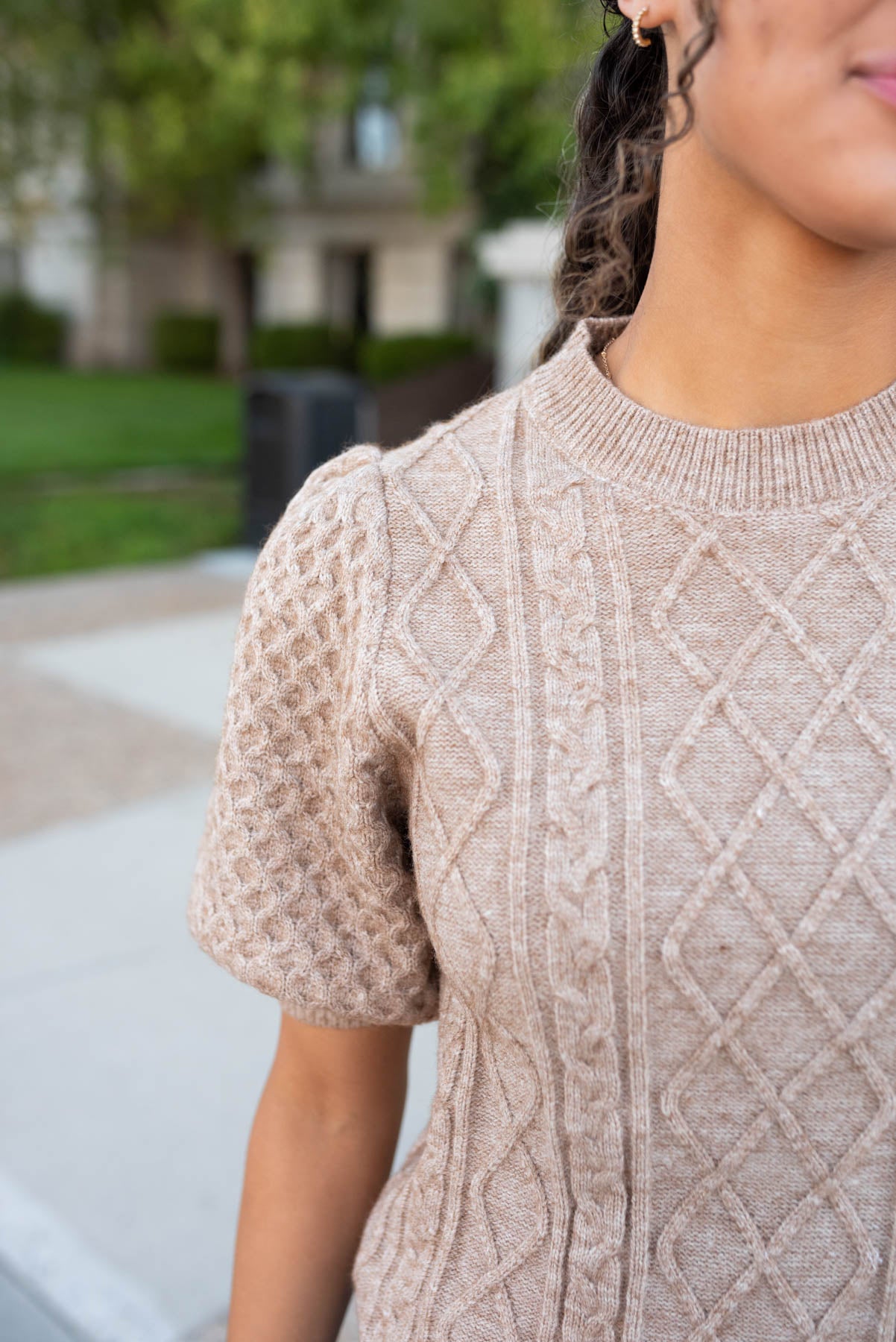 Alaina Taupe Short Sleeve Sweater