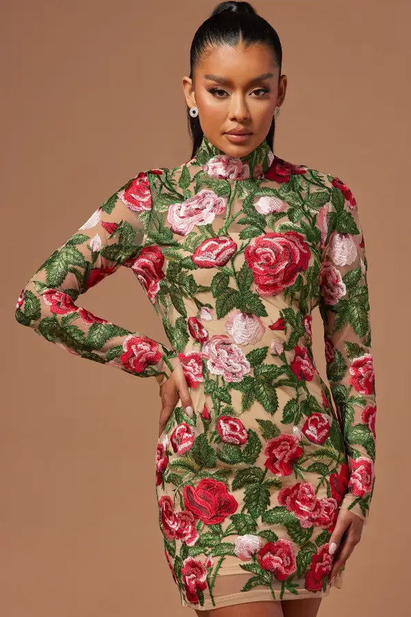 The Garden Scene Embroidered Mini Dress - Red/combo