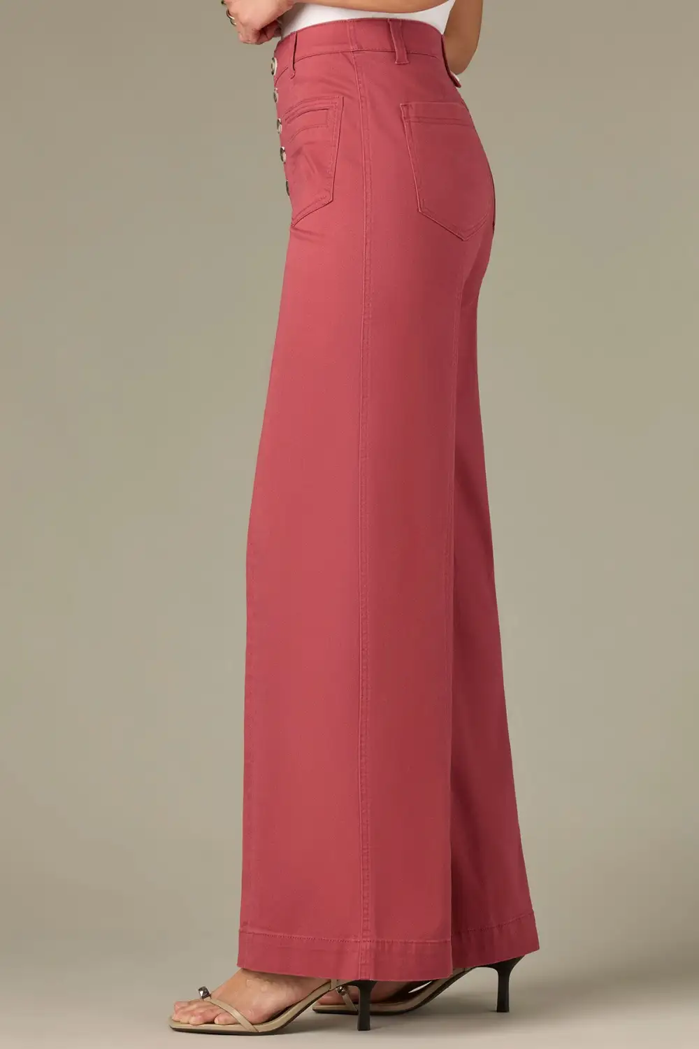 Petite Button Fly Wide Leg Pants