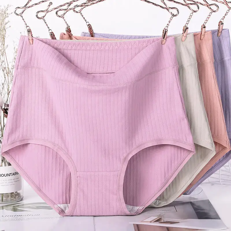 Plus Size High Waist Soft Touch Brief Panty