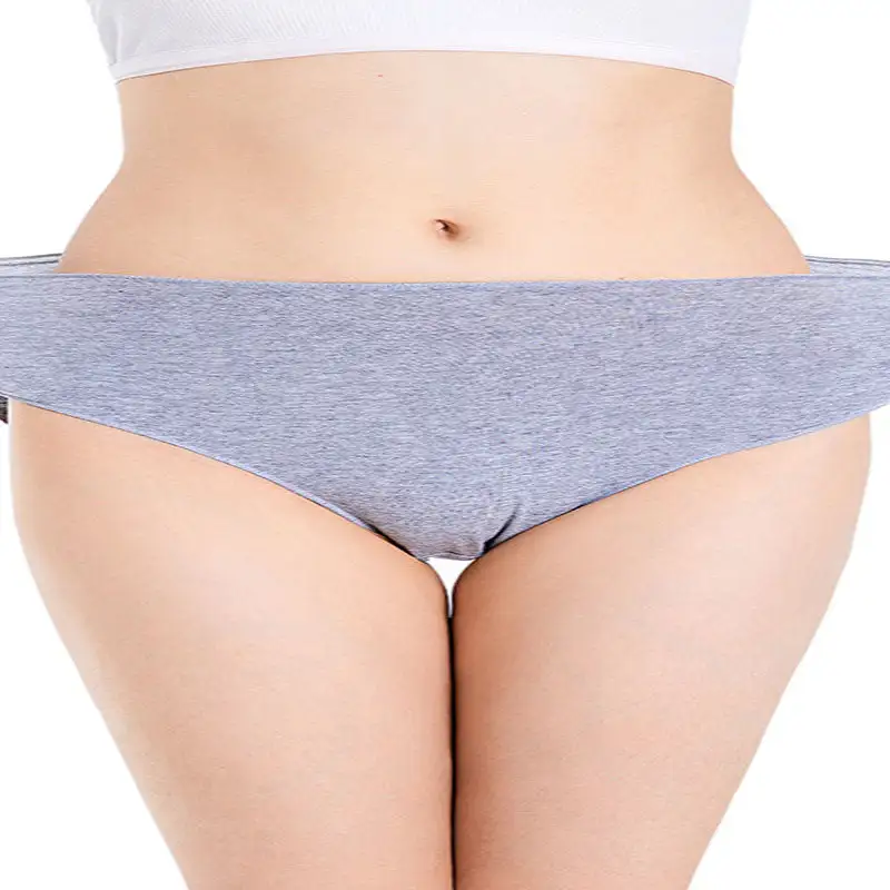 Plus Size High Waist Soft Touch Brief Panty