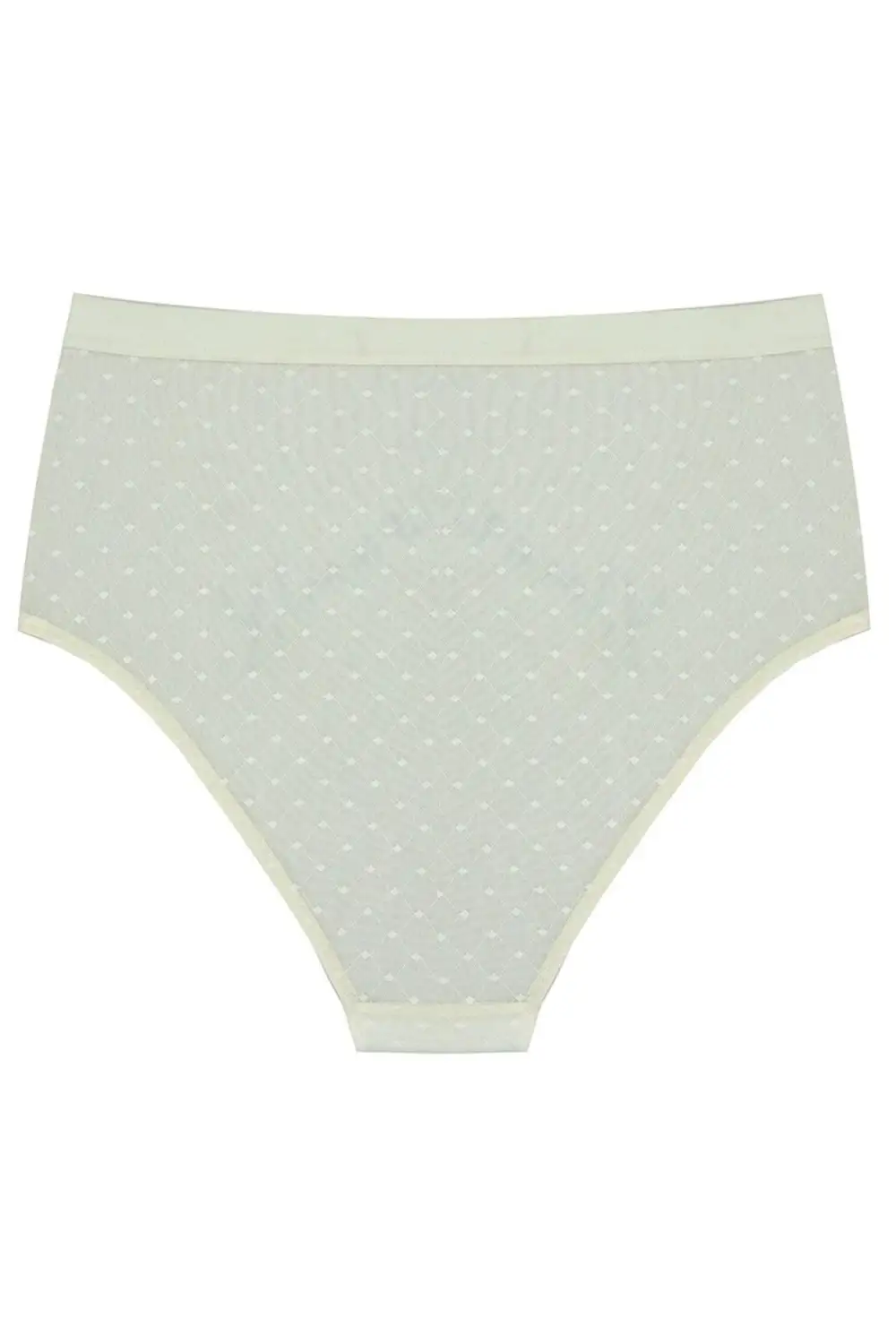 Lace High Waist Panties
