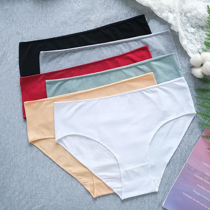 Plus Size High Waist Soft Touch Brief Panty