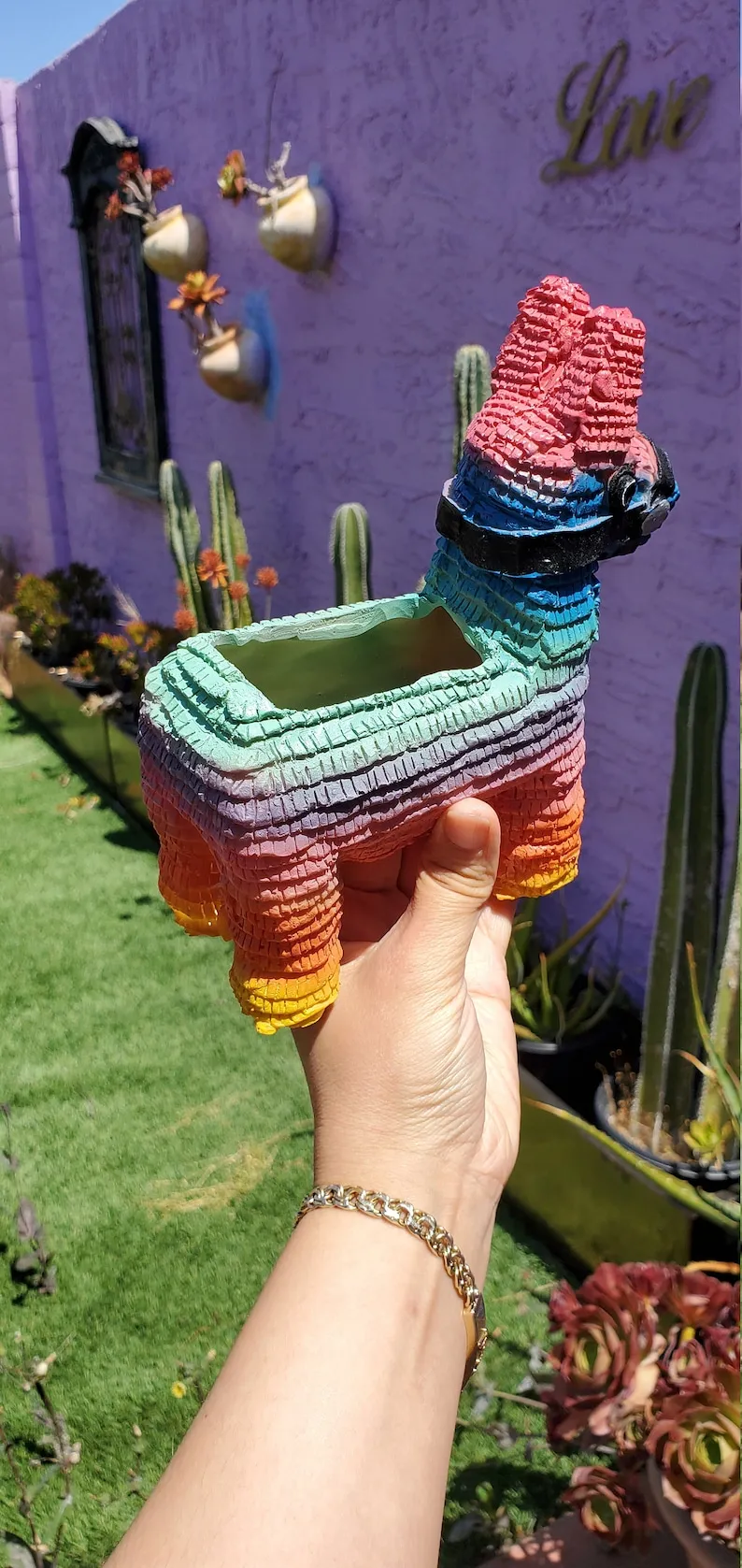 (Store Closing Sale) Piñata Planter by Seelene Succulents