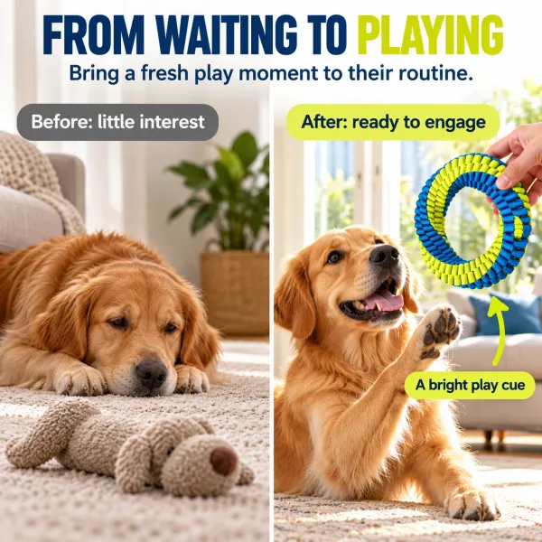 Pet self pleasure toys