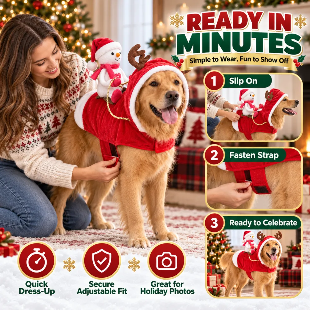 Santa Riding Dog Christmas Pet Costume