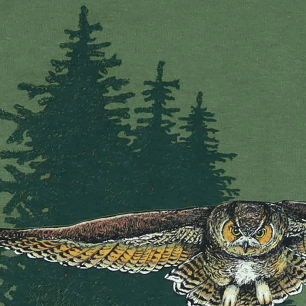 Owl Print Round Neck Long Sleeved T-Shirt