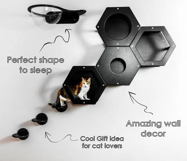 The Best Gift For Your Cats❤️