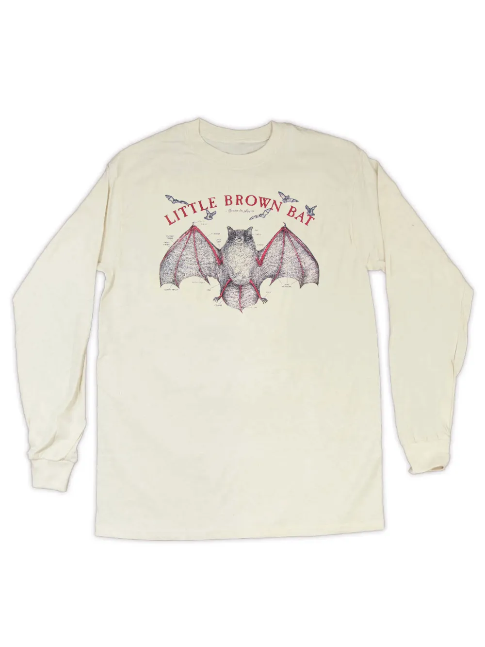 Bat Print Round Neck Long Sleeved Women's T-Shirt