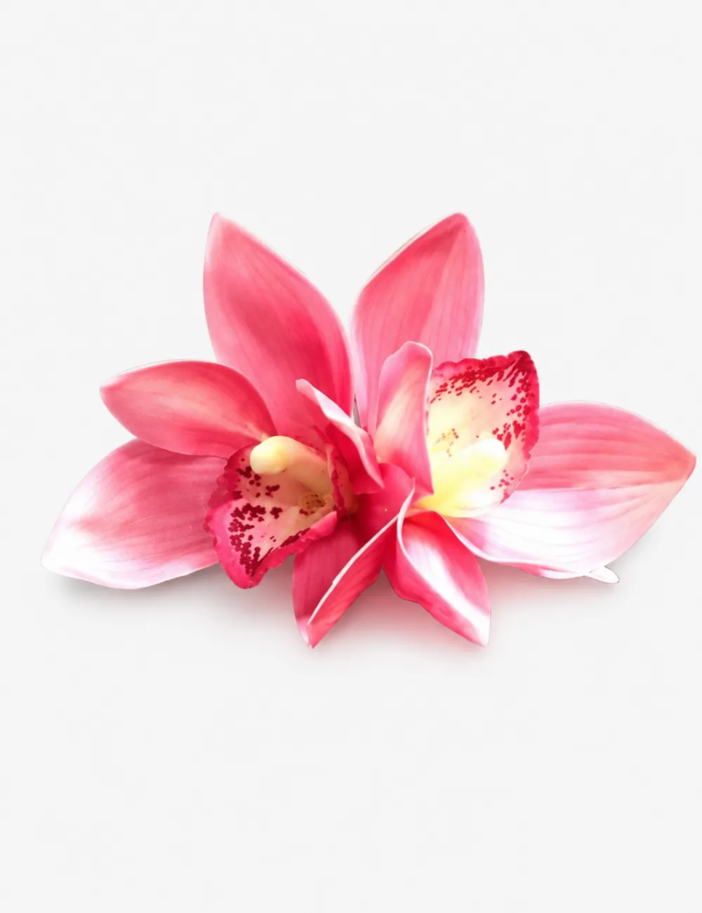 Plumeria Flower Hair Clip