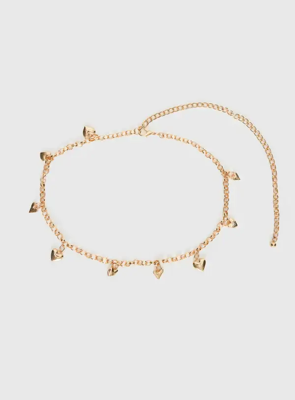 Flexible Chain Belt
