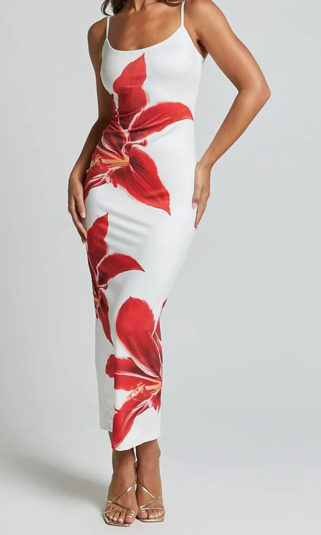 Botanical Print Midi Dress
