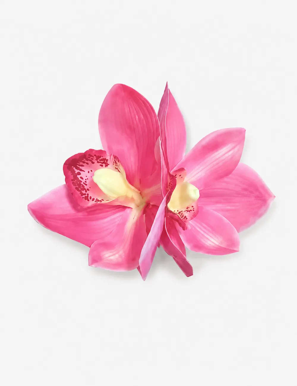 Plumeria Flower Hair Clip