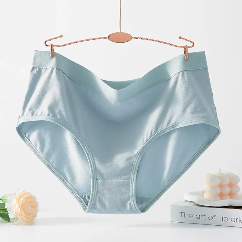 Plus Size High Waist Seamless Panty