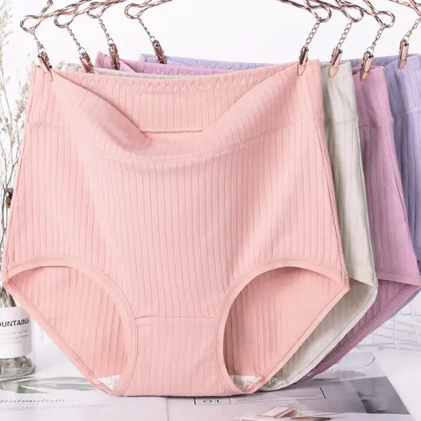 Plus Size High Waist Soft Touch Brief Panty