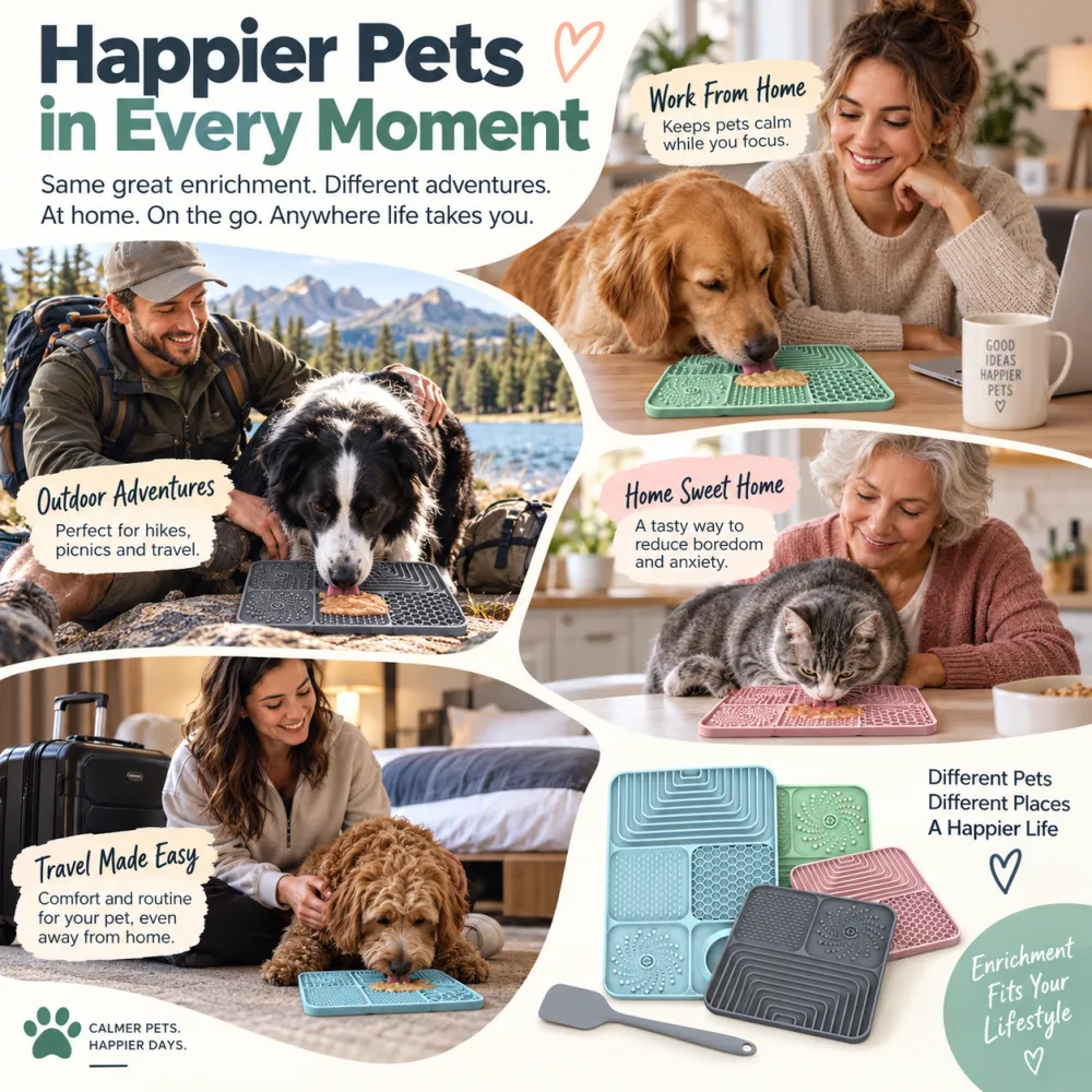 Pet slow feeder bowl