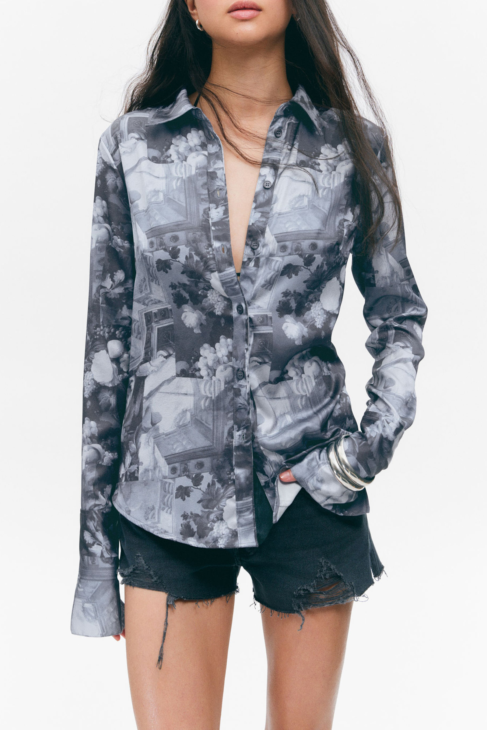 Sheer Printed Long Sleeve Shirt