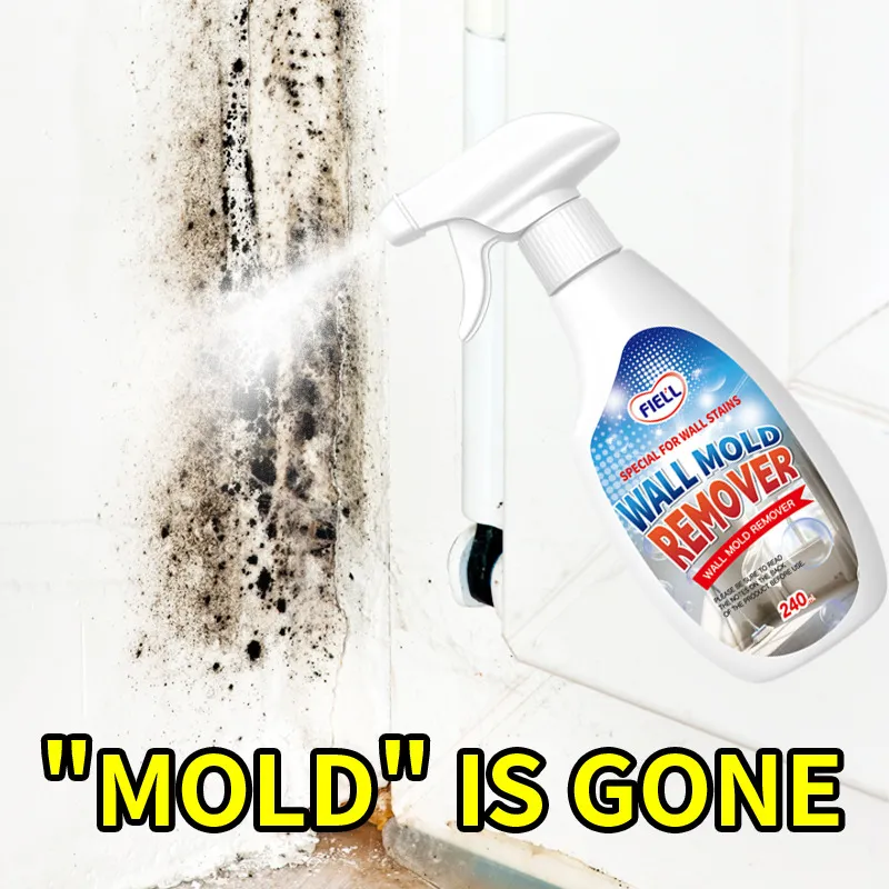 Wall Mold Remover