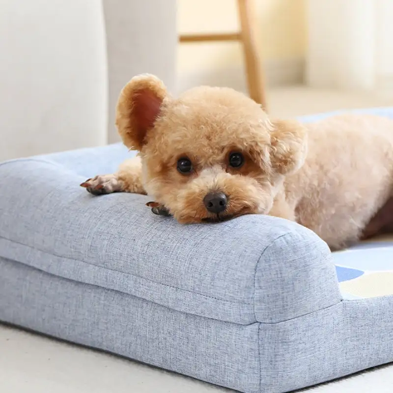 Full Support Cozy Orthopedic Bolster Dog Sofa Bed