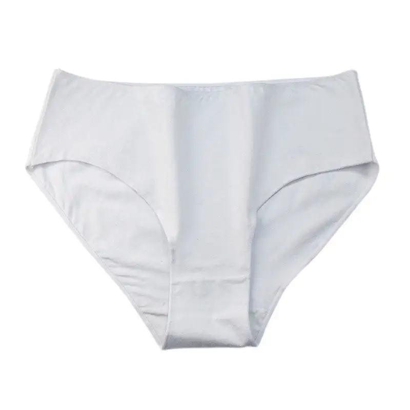 Plus Size High Waist Soft Touch Brief Panty