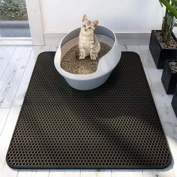 ❤️The Best Gift For Your Cat