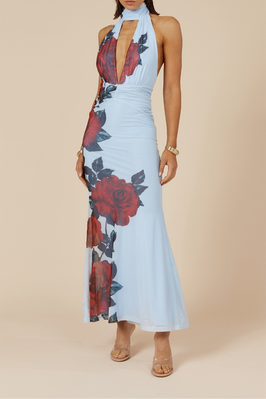 ANTONIE MAXI DRESS