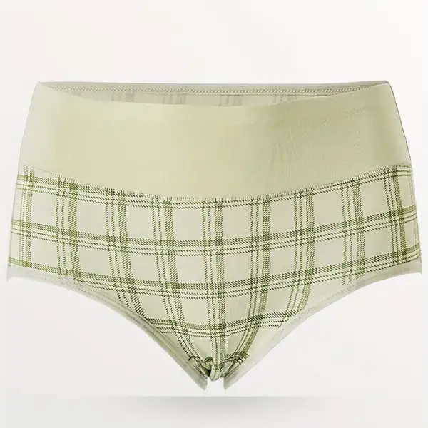 Plus Size High Waist Soft Touch Panty