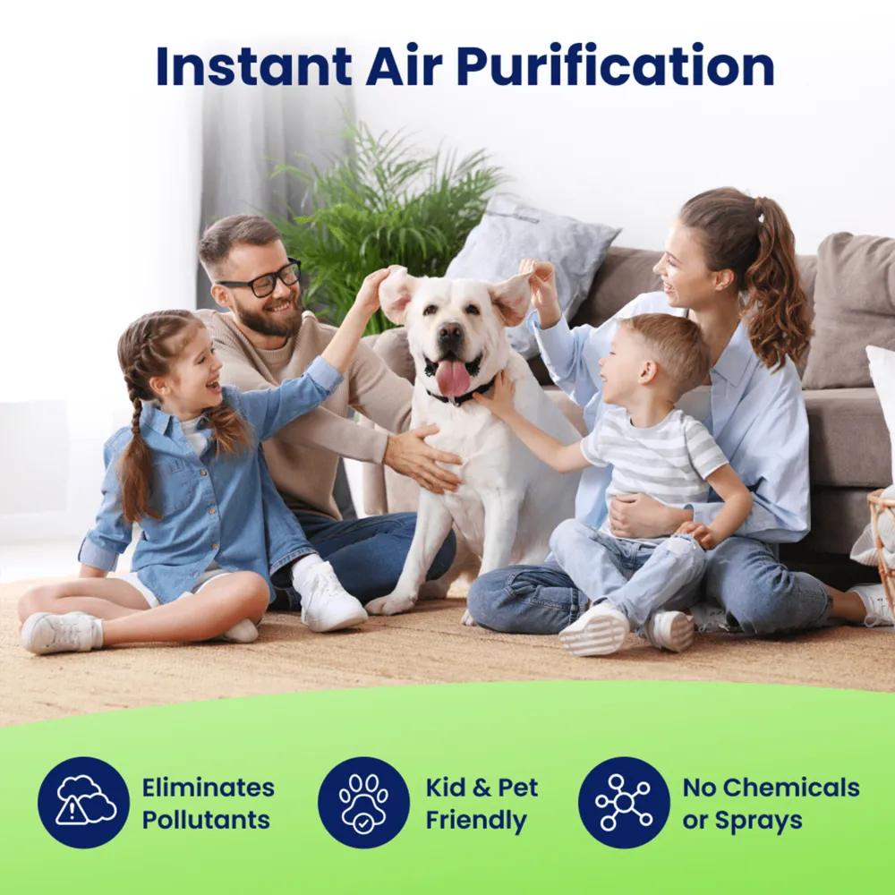 Negative Ion Portable Air Purifier