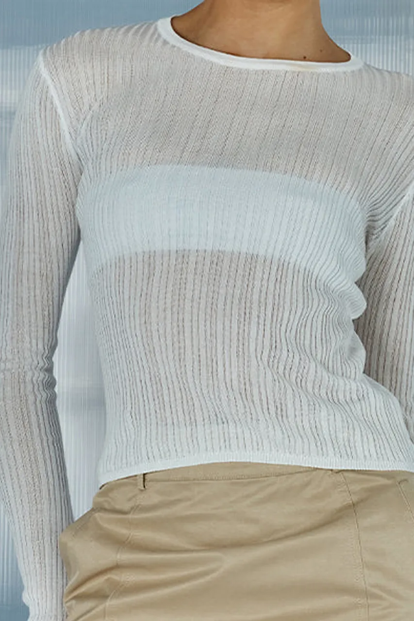 Sheer Panel Long Sleeve Cropped Top