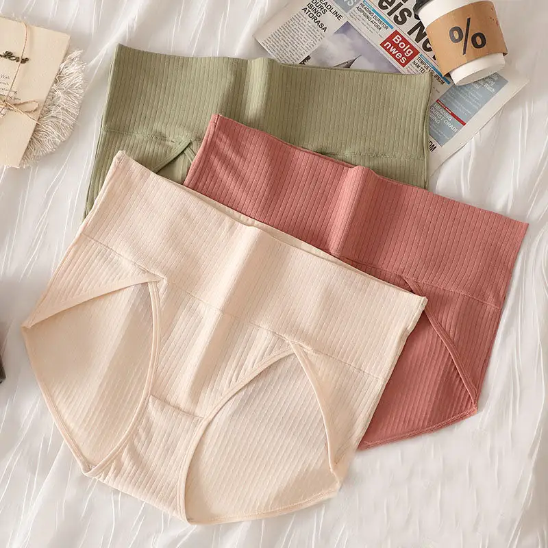 Everyday Plus Size High Waist Soft Touch Brief Panty