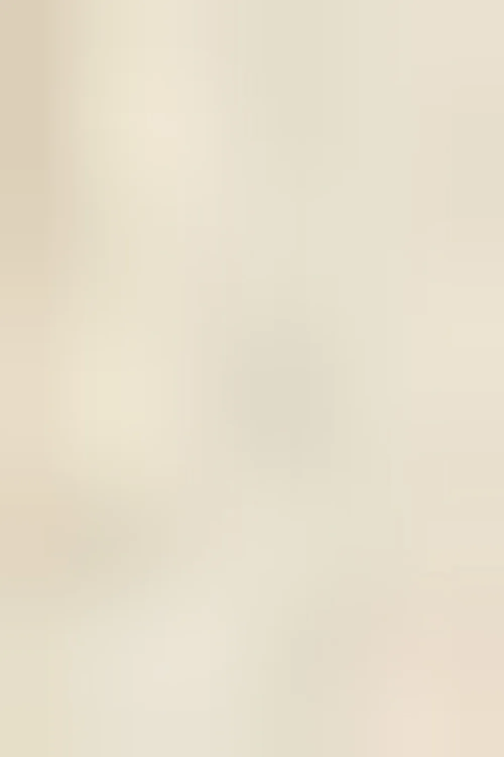 V-Neck Top-Beige
