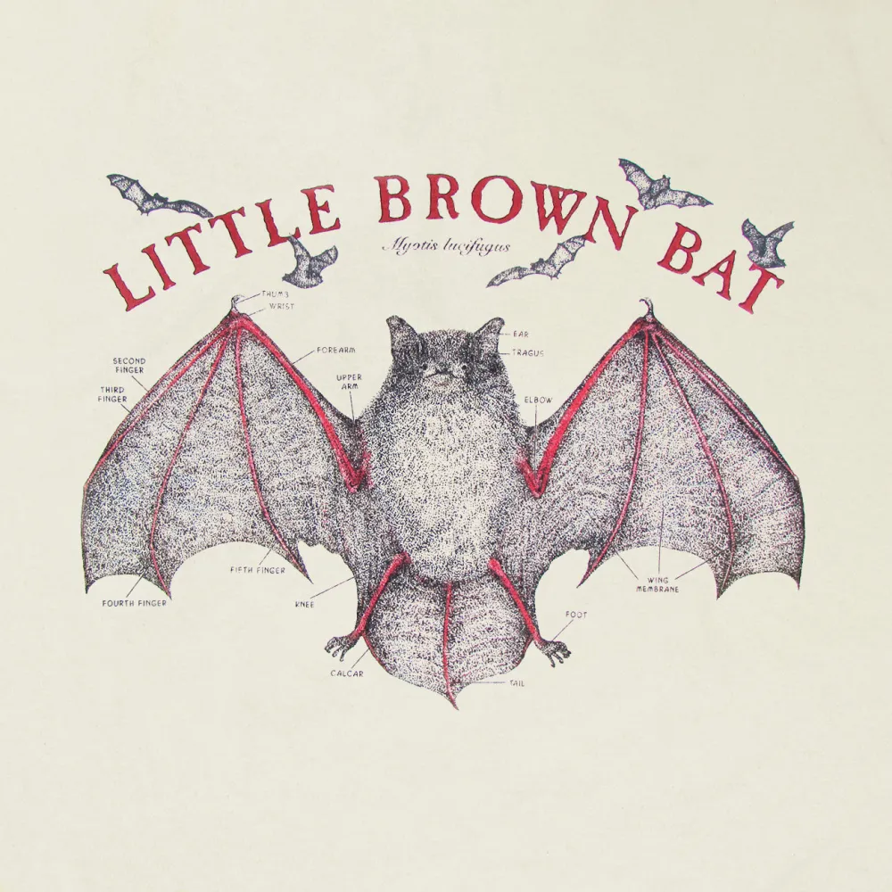 Bat Print Round Neck Long Sleeved Women's T-Shirt