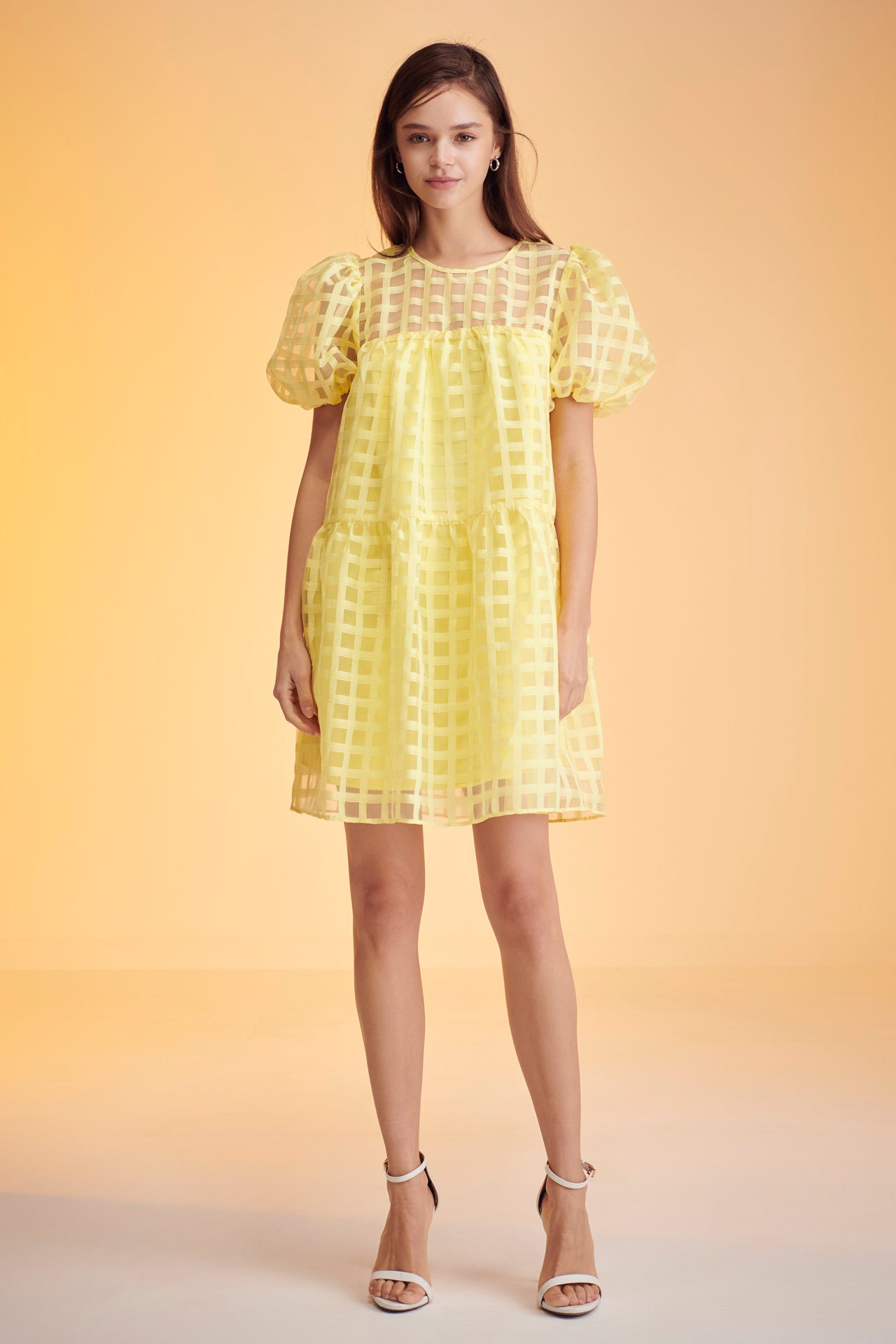 Gridded Organza Mini Dress