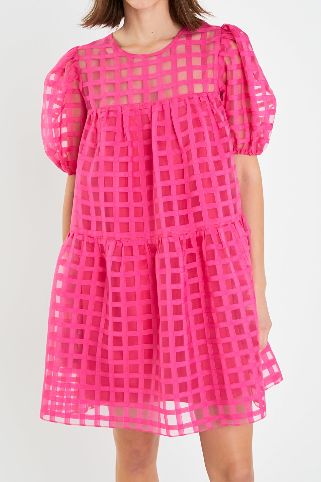 Gridded Organza Mini Dress