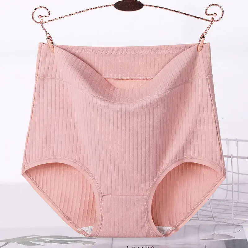 Plus Size High Waist Soft Touch Brief Panty