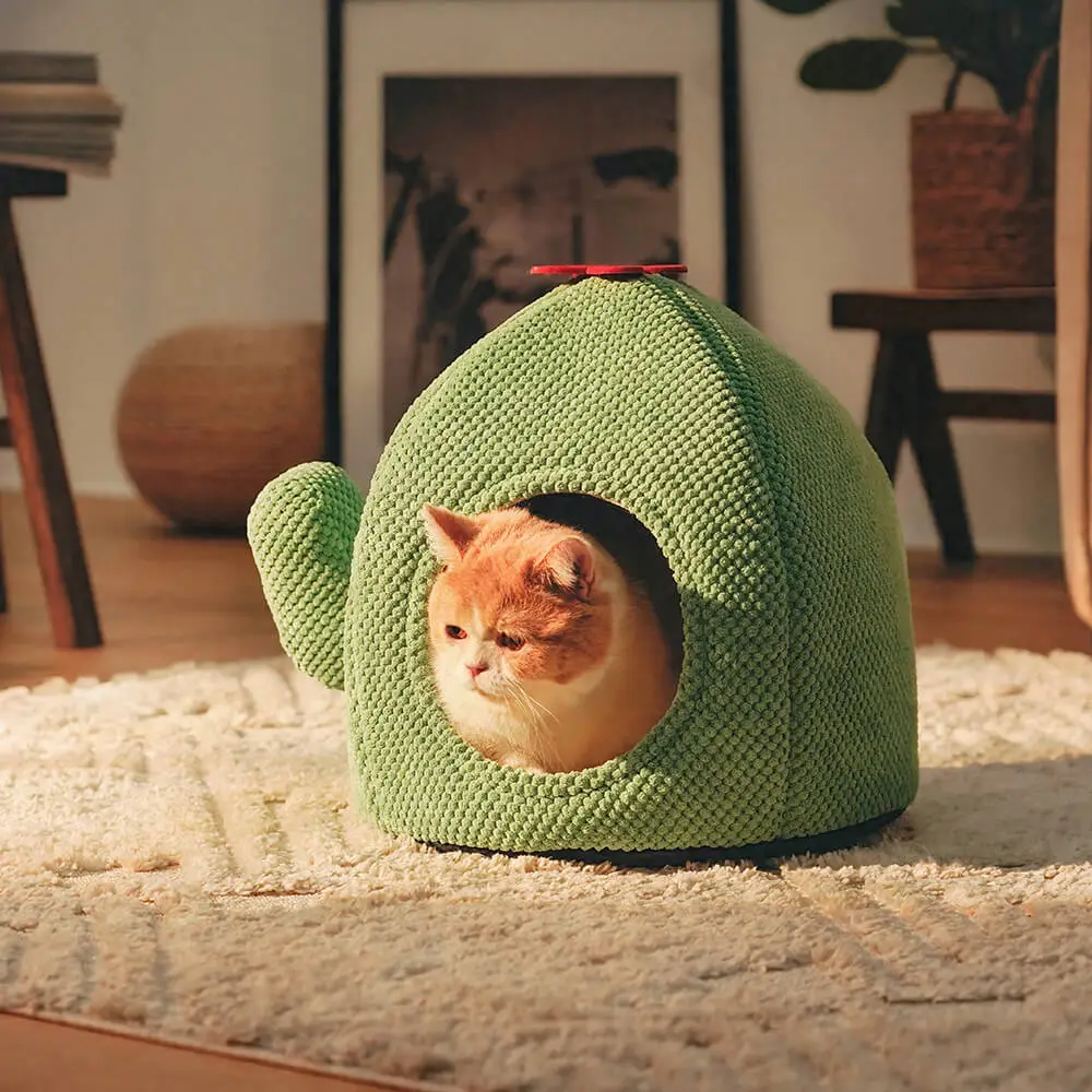 Cactus Shape Warm Cat  Bed