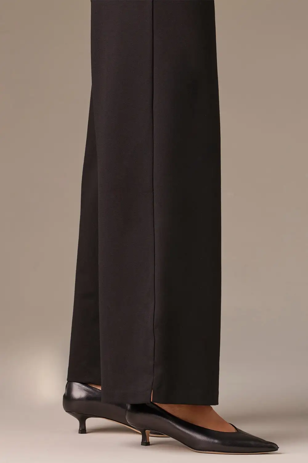 Petite Wide Leg Pants