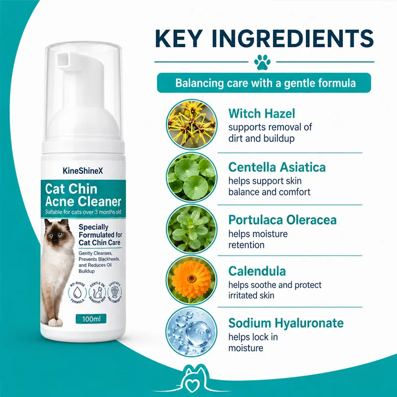 Pet Dry Shampoo Foam for Cats & Dogs, Waterless Rinse-Free, Gentle Formula, Deep Cleansing & Moisturizing