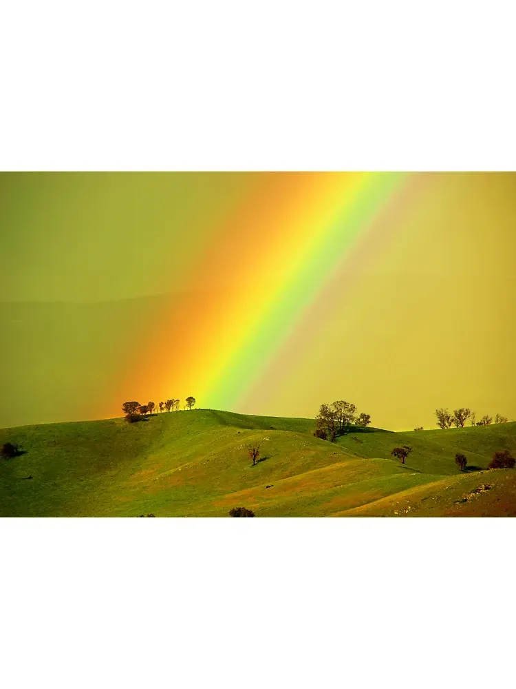 Rainbow Printed Women's Short Sleeved T-Shirt