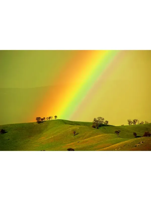 Rainbow Printed Women's Short Sleeved T-Shirt