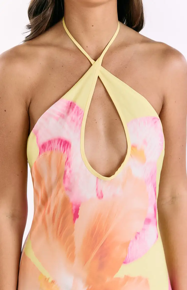 Halter Halter Neck Floral Maxi Dress