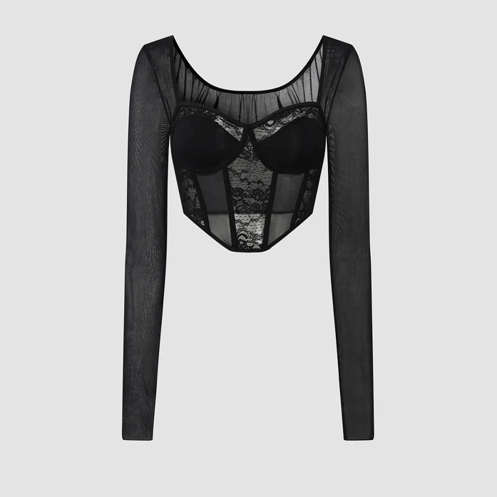 Lace Mesh Long Sleeve Top