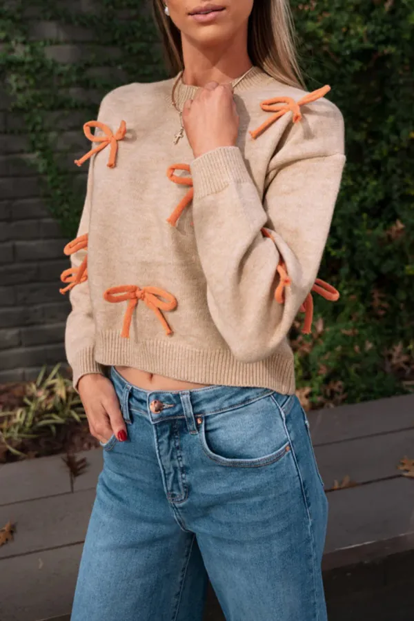 Bow Decorate Cropped Sweater
