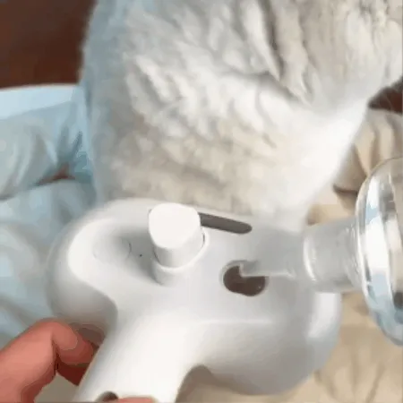 Pet Comb Spray Comb Cat Pet Supplies Anti-Flying Hair Needle Comb Pet Hair Groomer Cat Brush